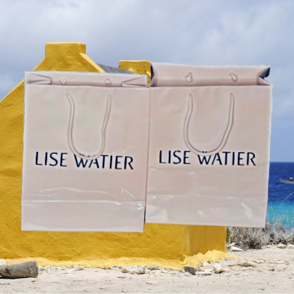 Two Lise Watier Gift Bags